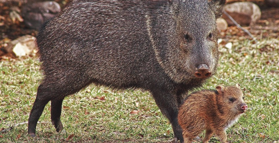 Screenshot 2025-10-30 at 3.35.06 PM